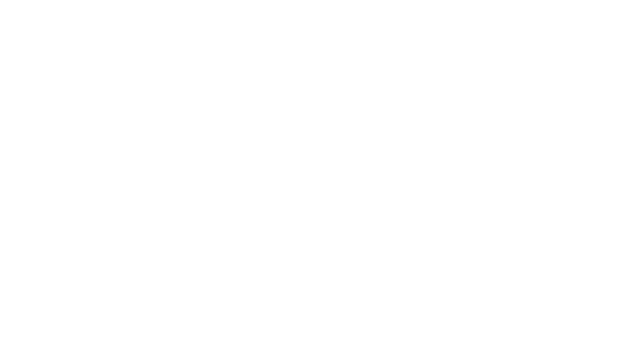 Logo PIRZ
